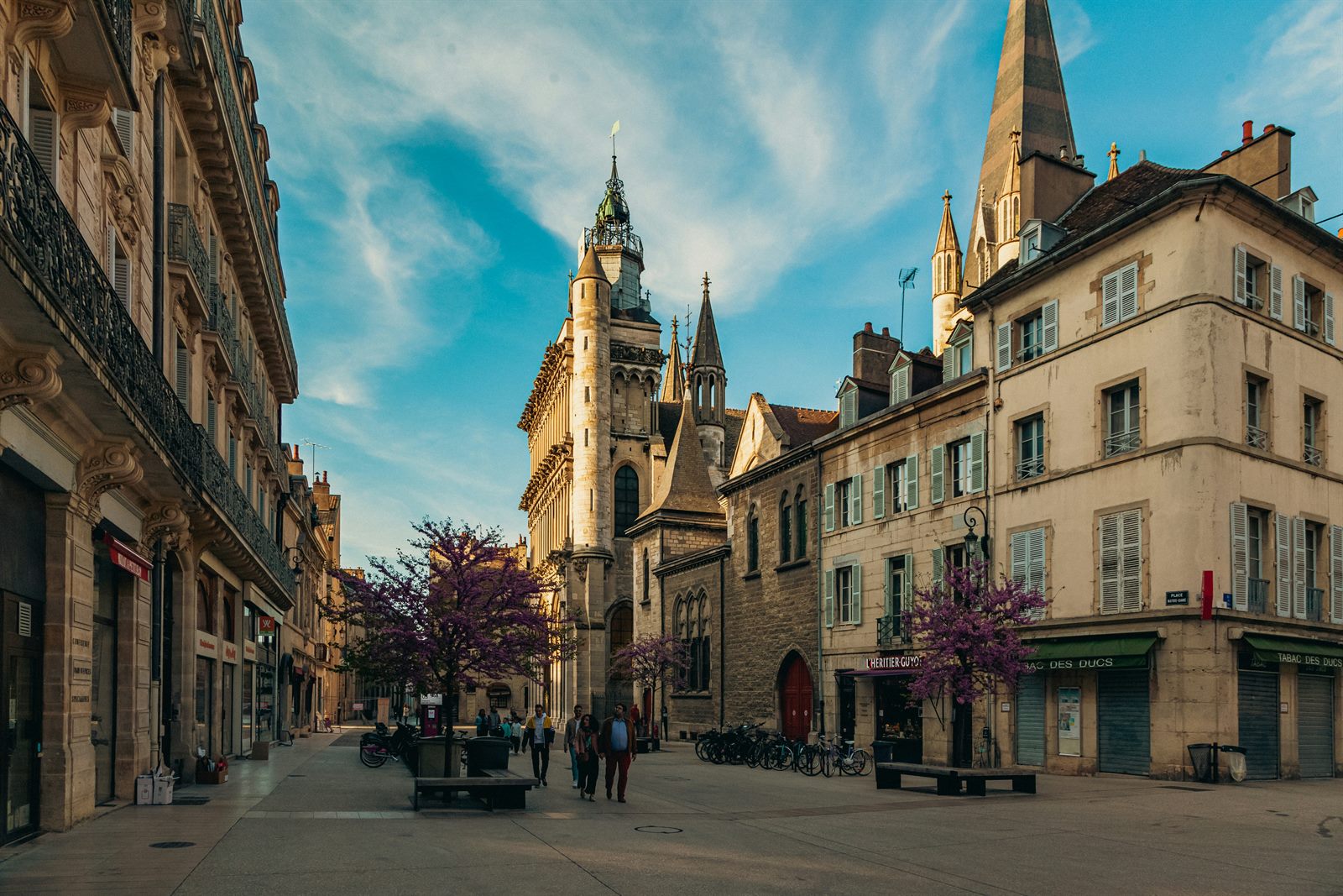 Chauffeur privé VTC à Dijon — GNN Private Driver, trajet longue distance depuis Paris